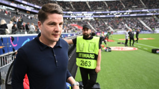 Neuer Sportdirektor: Wolfsburg holt Schwegler aus Frankfurt