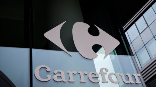 Carrefour dispara&icirc;t de certains pays arabes, le mouvement de boycott revendique une victoire