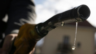 Carburants: "Pas de p&eacute;nurie" en France, assure le gouvernement