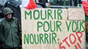 El Parlamento Europeo remite a la justicia el acuerdo comercial con Mercosur