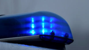 Mann stirbt bei Absturz von Kleinflugzeug in Schleswig-Holstein