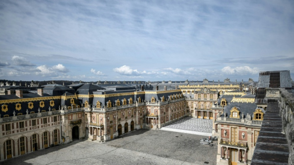 Una muestra en París explora la vida del "Gran Delfín", padre sin corona del rey Felipe V de España
