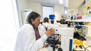 I primi batteri programmati per divorare i tumori dall'interno