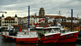 Pêche française: une étude analyse les émissions de carbone et dénonce un "écart abyssal" entre les bateaux