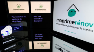 Avec MaPrimeR&eacute;nov' &agrave; la peine, d'autres aides &agrave; la r&eacute;novation ont le vent en poupe
