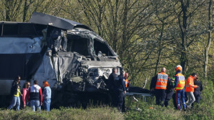 Train driver killed, two critically injured as French TGV collides with truck