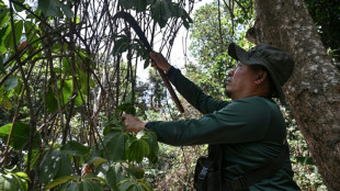 En Tha&iuml;lande, des habitants des montagnes combattent incendies et clich&eacute;s