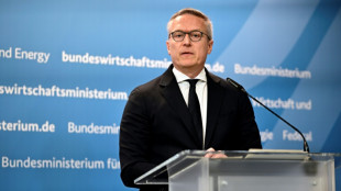 Wildberger verteidigt KI-Nutzung f&uuml;r Reden und verweist auf "klare Regeln"