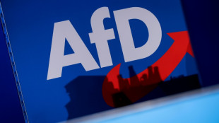 AfD setzt bei Energieversorgung auf Gas aus Russland und Atomkraft