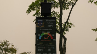 Fum&eacute;es provoqu&eacute;es par des incendies : l'&eacute;tat d'urgence lev&eacute; en Malaisie
