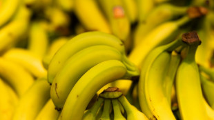 Drogen in Bananenkisten: Rauschgiftfund in Supermärkten in Berlin und Brandenburg
