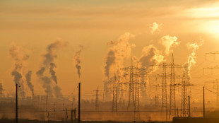 L'Italia centra la crescita pulita, è tra più virtuosi d'Europa