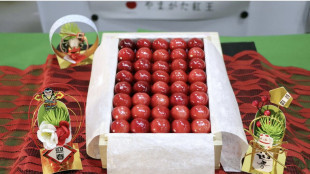 In Giappone ciliegie da record a 140 euro l'una