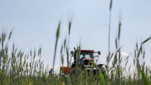Einkommen von Landwirten nach Rekordjahr wieder gesunken