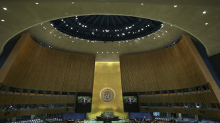 Droits de l'Homme: le travail de l'ONU confront&eacute; &agrave; une "menace existentielle", alerte une ONG