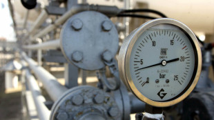 Il prezzo del gas chiude in rialzo sopra i 32 euro