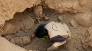 Rätsel um mehr als tausend Jahre alte Knochen vor Behördengebäude in Speyer gelöst