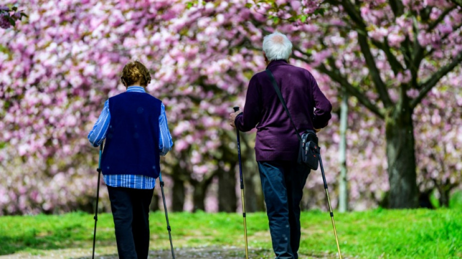 German working-age population to shrink dramatically: study