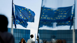 Zone euro: le ch&ocirc;mage toujours au plus bas en mars &agrave; 6,8%